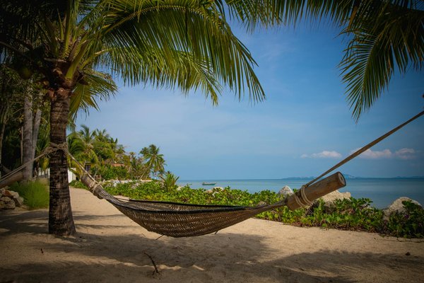 Devenez nomade digital : astuces et inspirations pour vous lancer